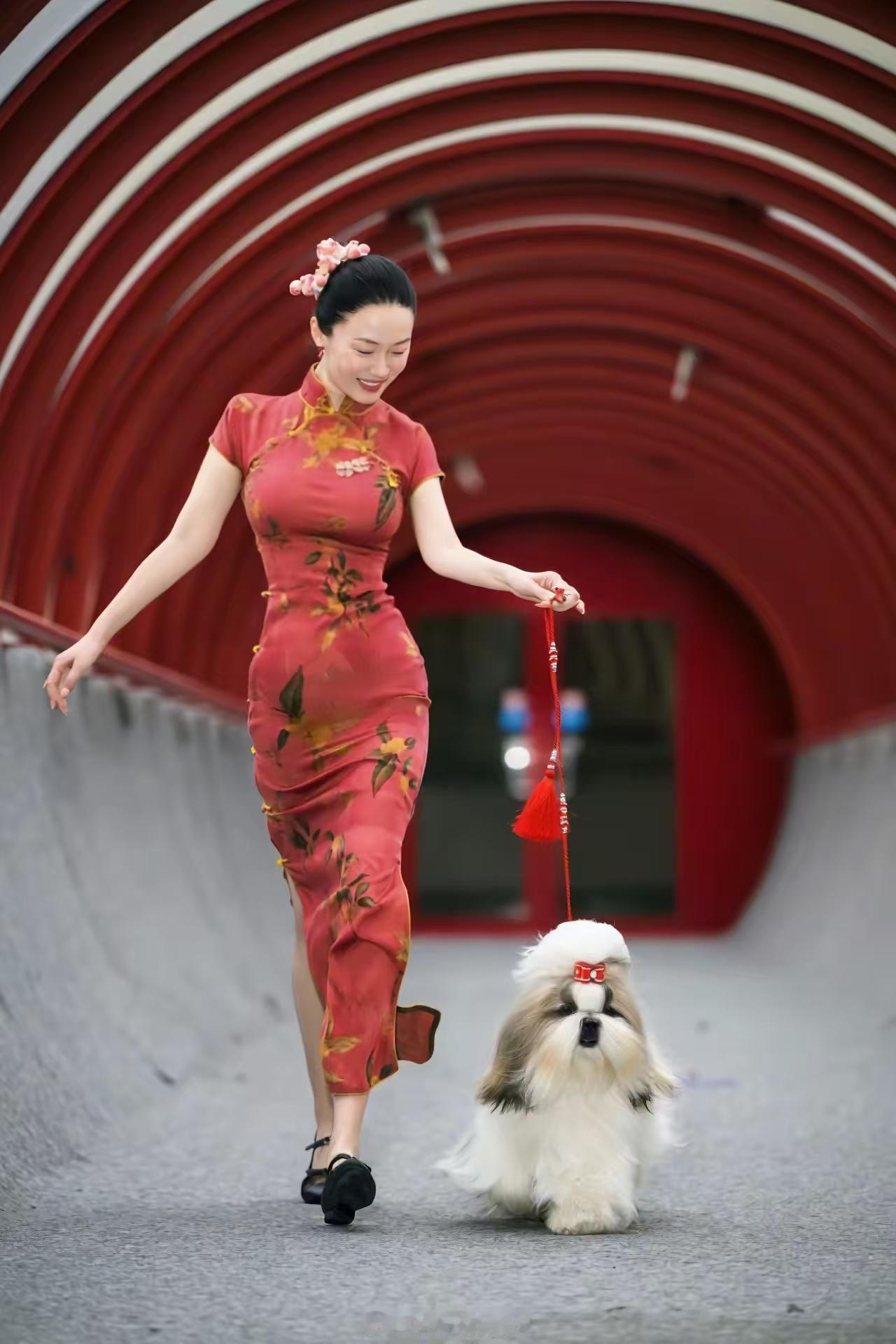 杜江：“重要事件说三遍！唯一的中国团队”！霍思燕和爱狗获奖，杜江疯狂发微博宣