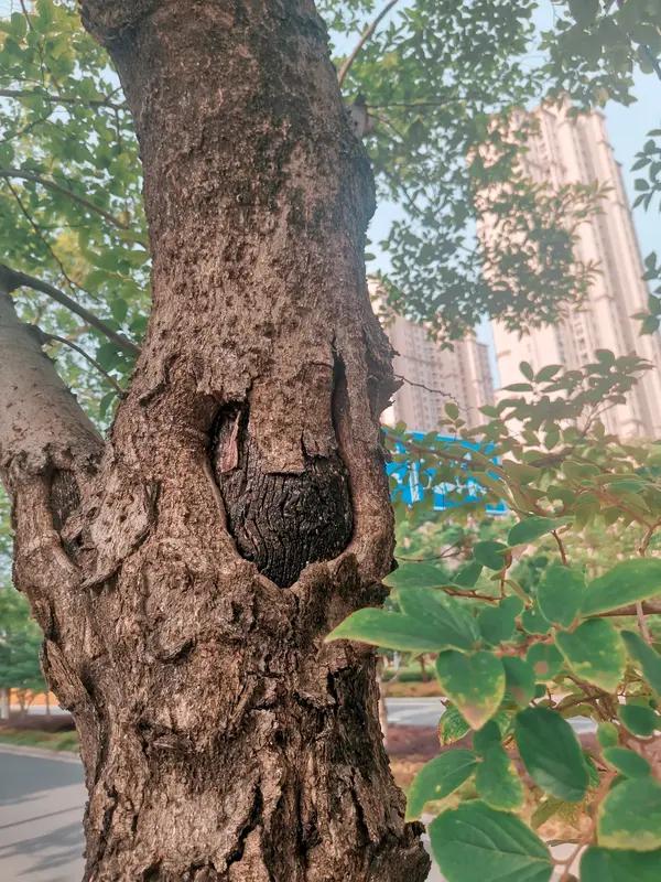 所言极是，年龄并非关键，生活自理才至关重要。倘若我们还能打理自己的生活，那便好好