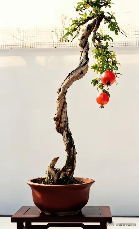 一段很通透的话，教你识别一个城府深的人：​“人越多，他越安静。喜怒，从不形于