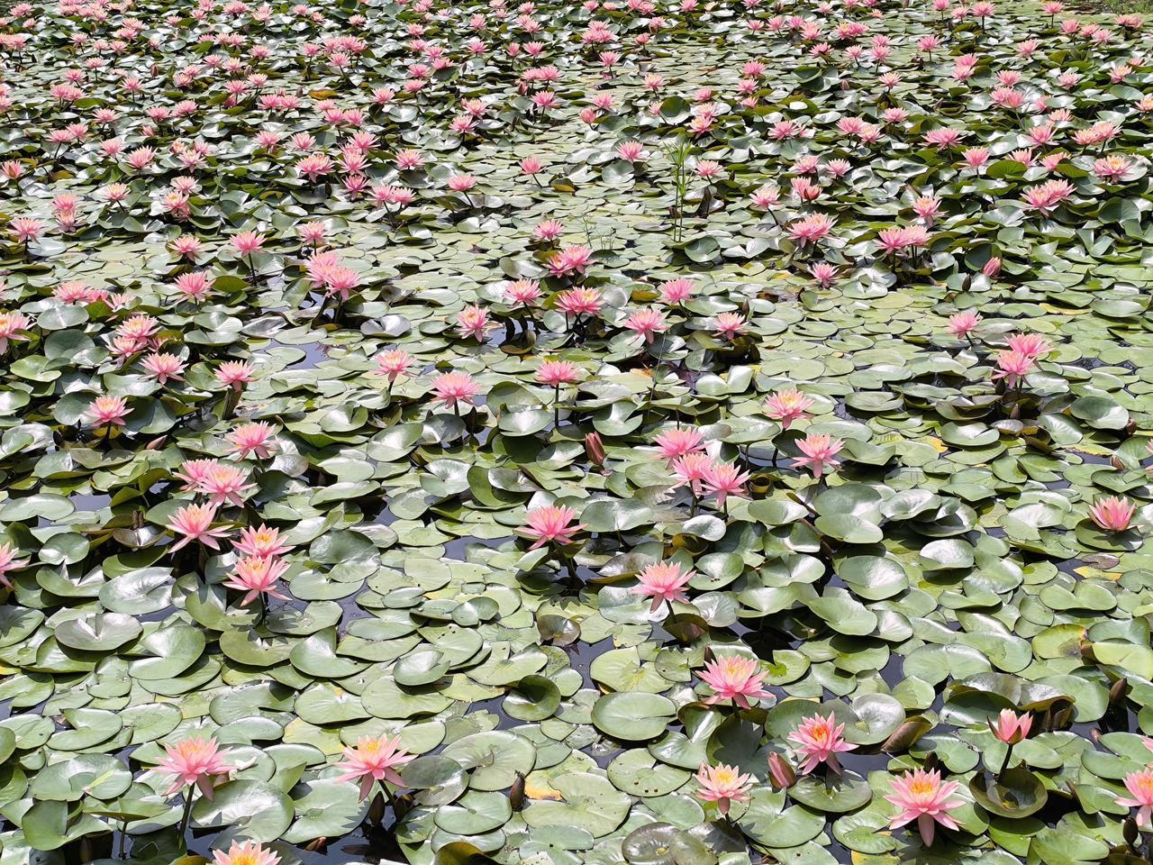 孩子不是不可以打，而是打不是最好的教育方式。只能说，打，吼是最快的，最省事的解决
