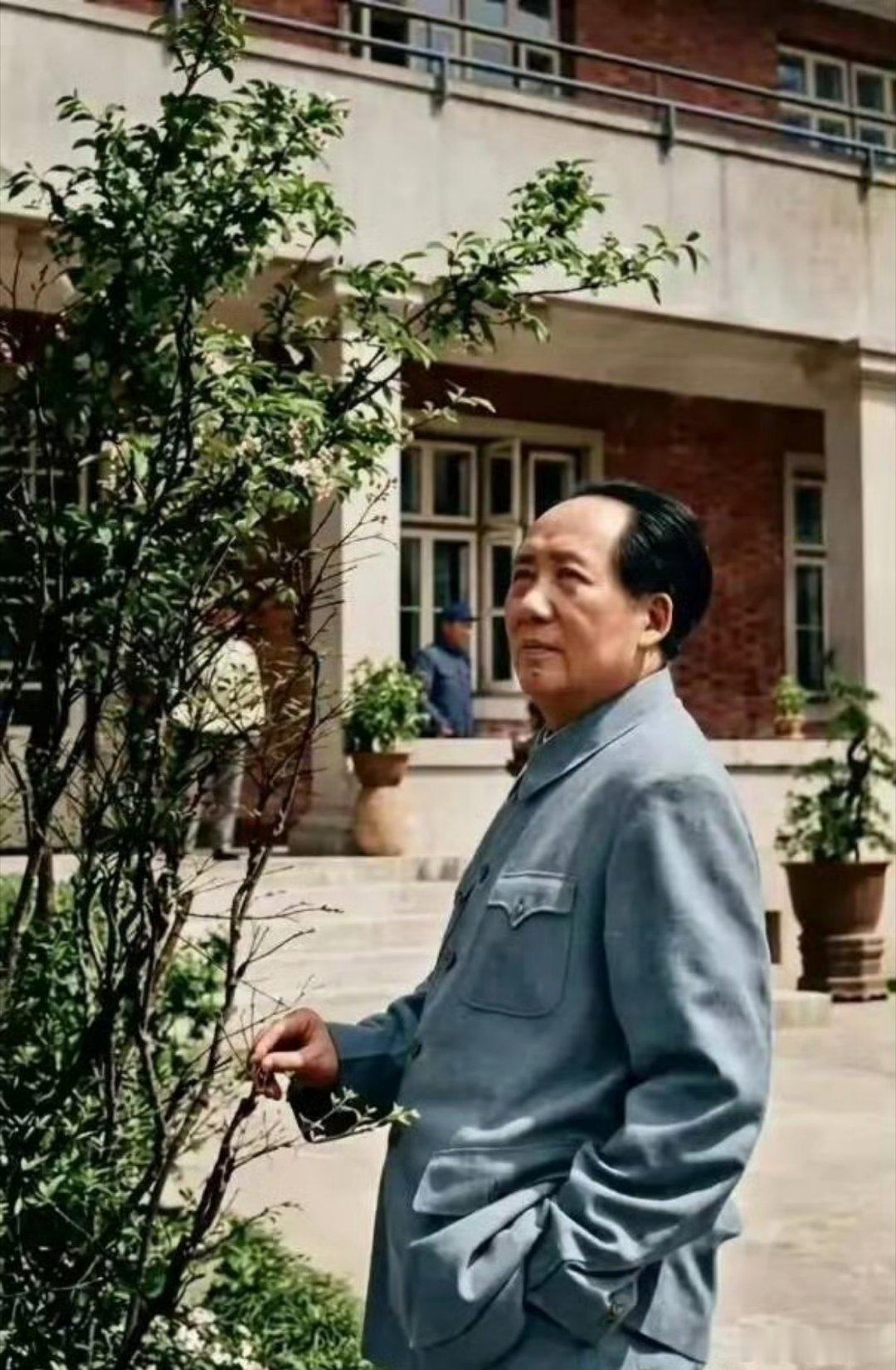 教员这张我还是第一次见，儒雅帅气不失威严