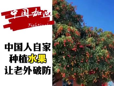 中国人自家种植水果让老外破防，外网评论：是真水果吗？