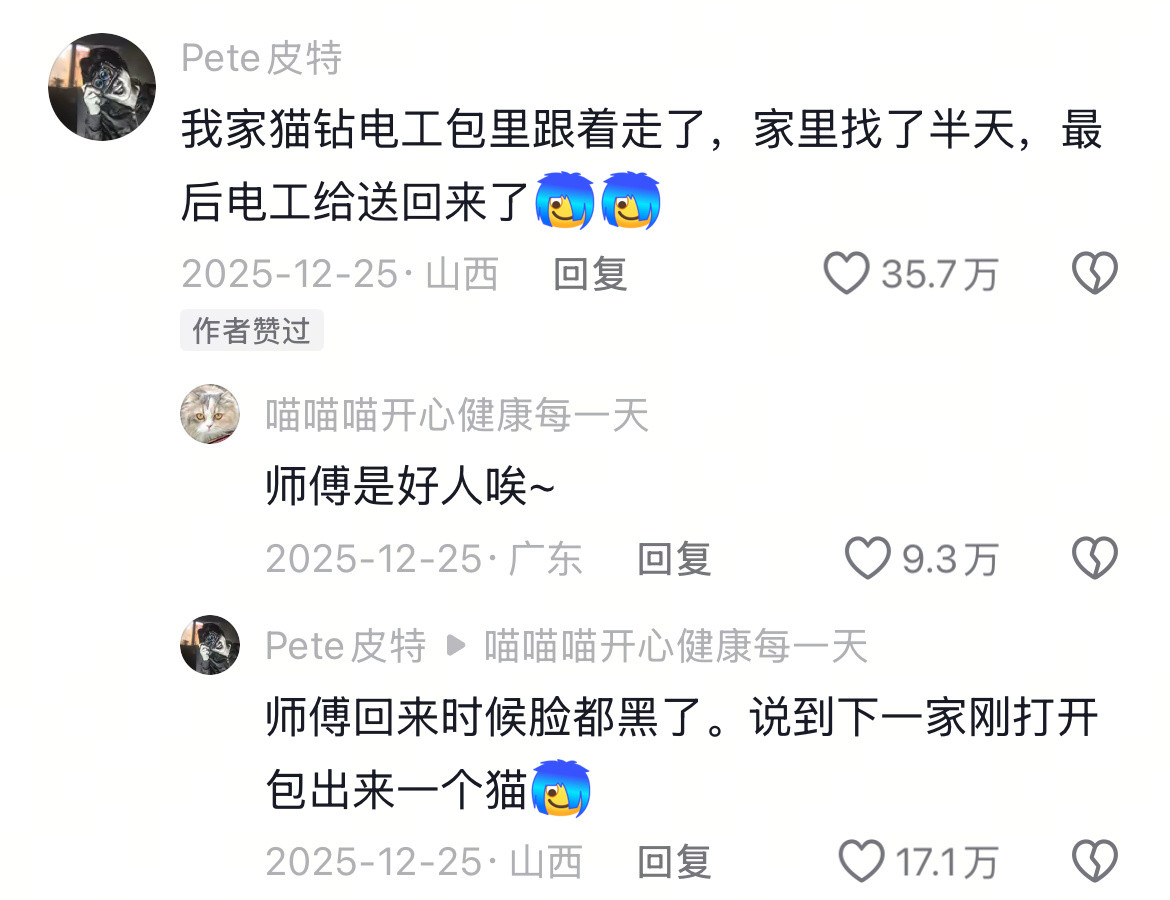 宽带师傅和猫咪的爱恨纠葛！师傅上门干活，被猫全程“监工”。动物奇遇记