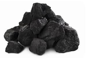 煤炭真是植物变的？为啥现在的树埋亿年也成不了煤？答案藏在3亿年前很多人小时候都