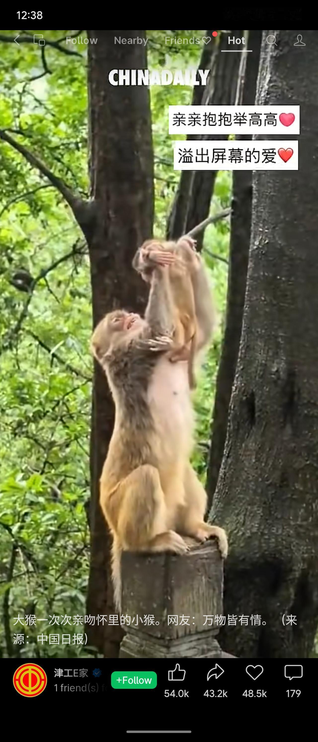 大猴将小猴紧紧搂在怀里，一次次低下头温柔亲吻，眼神里满是宠溺与不舍。那溢出屏幕的