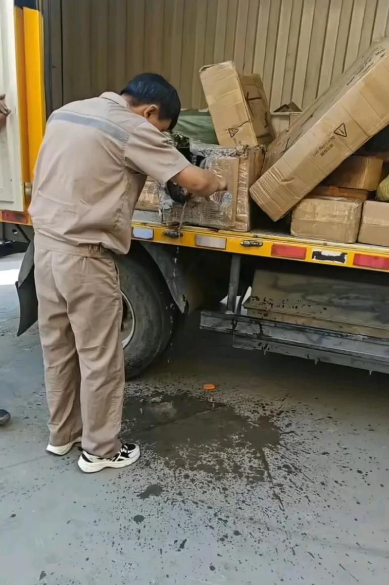 能不能不要寄猪啊牛啊，买牛的你们见过吗，大热天司机下车去野地给牛拔草吃永远忘不