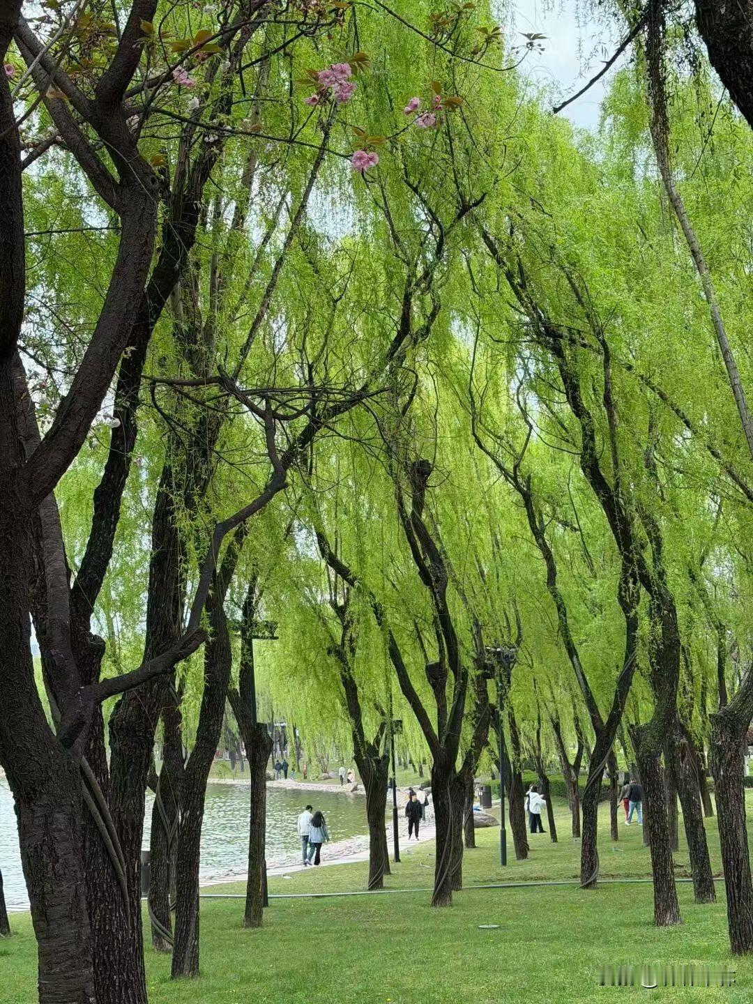 托梦这个事你们认为是真的还是玄学？就这个清明节的前些日子，我老家以前的邻居我