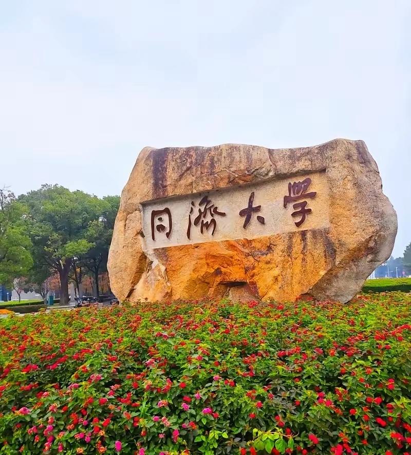同济大学一纸“非升即走”通知把网友整破防了，三年一小考六年一大考！网友在意的