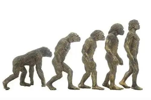 课本画错了350万年：当年东非大草原上不只露西一家在卷。2025年11月，亚
