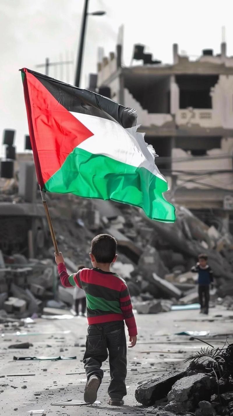 巴勒斯坦这次真的被逼到绝路了！在非盟峰会上直接控诉以色列：说好的停火全是骗人的，