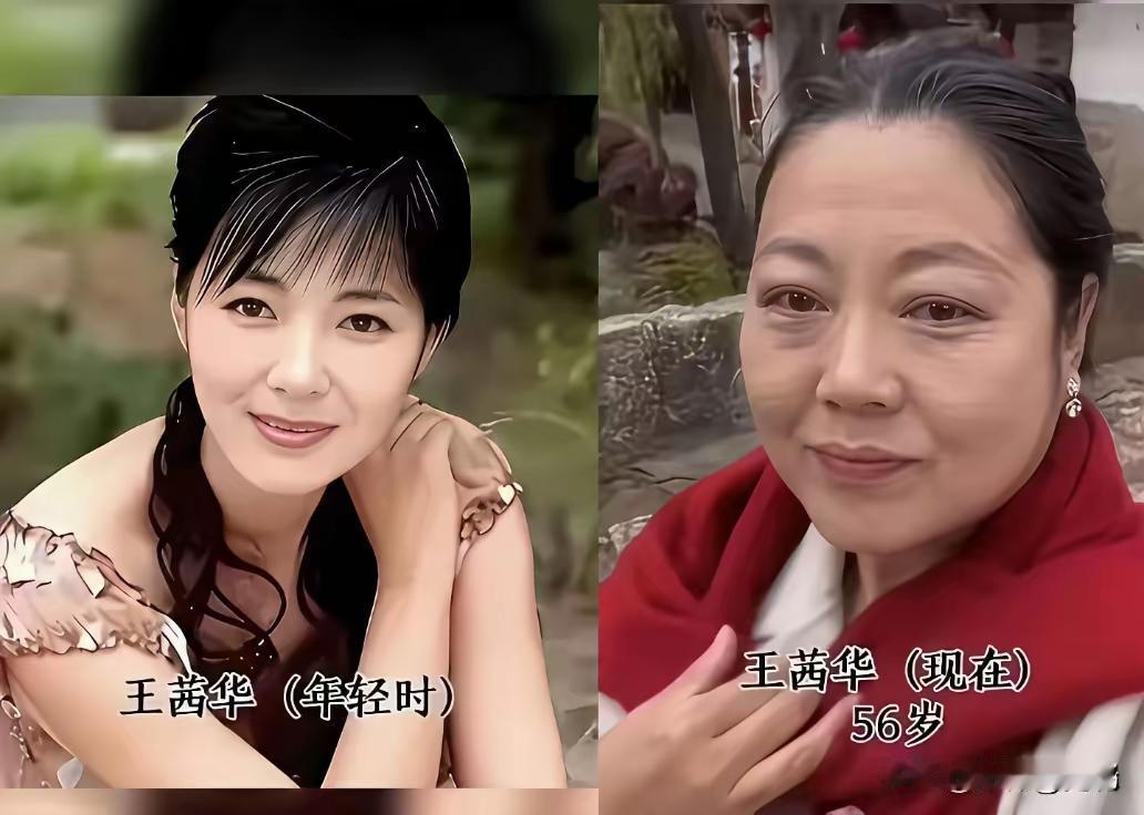 说真的！陶红这年轻时候的模样，谁能够不喜欢呢？如果说漂亮，她绝对不是最漂亮的，但