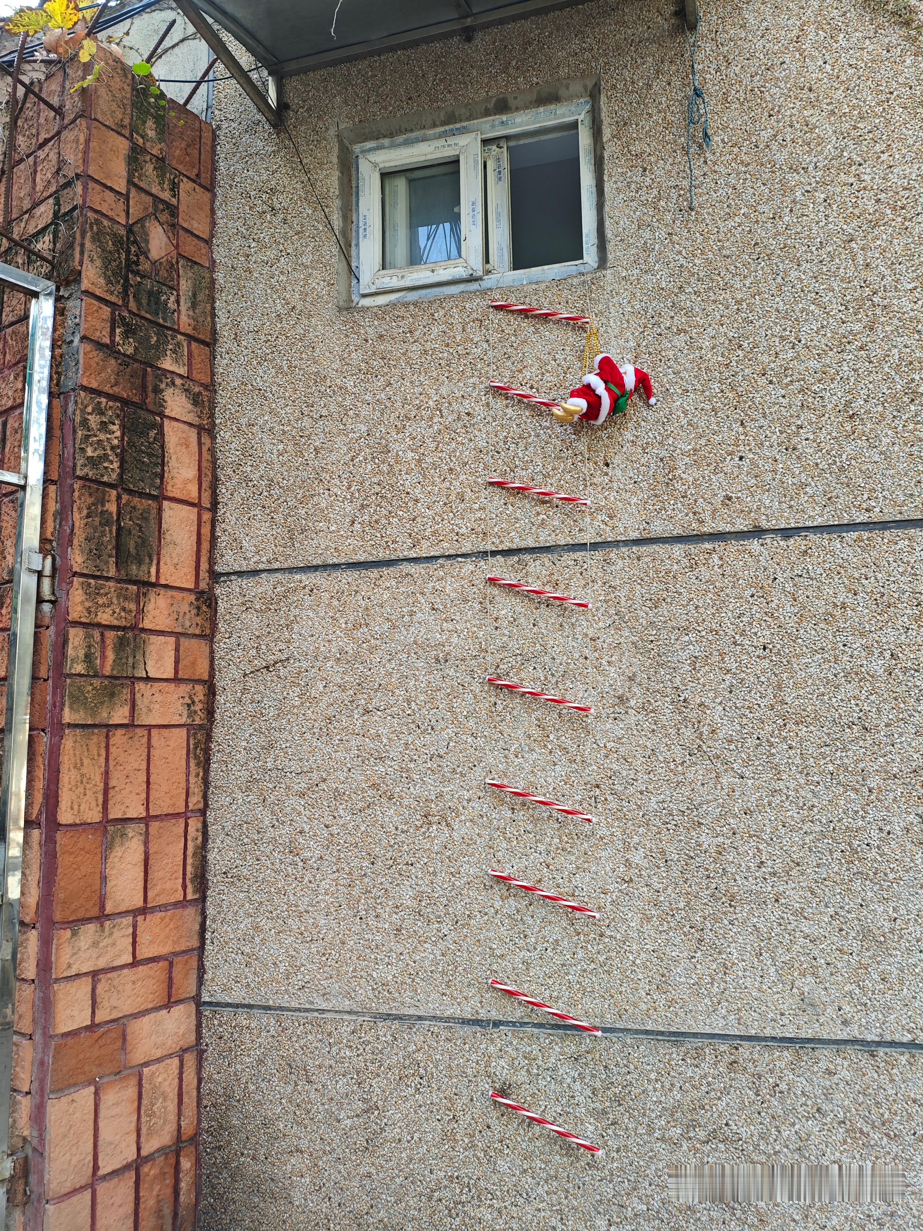 低成本圣诞氛围感诸位圣诞节快乐！🎄¹拍了这张照片，存之久矣。莫名的可爱。²