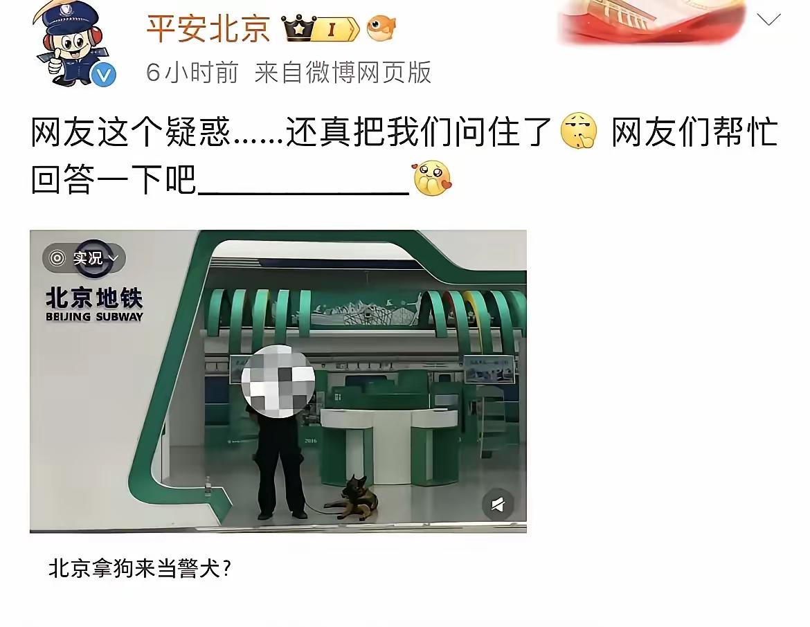 爱狗人士怒喷北京公安用狗当警犬，把公安难住了，怎么回答？只能说希望有一天爱狗人士