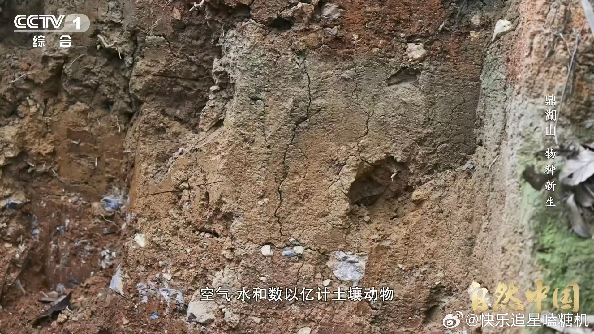 土壤的土腥味从何而来从岩石到土壤，要经过风蚀水蚀还要经过生物们的加工，一把土的