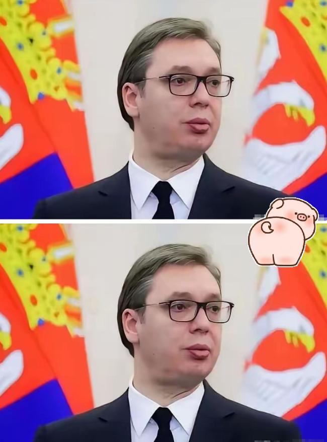 就在刚刚得知塞尔维亚总统突然宣布了匈塞铁路塞尔维亚段全线通车，武契奇坐完直呼