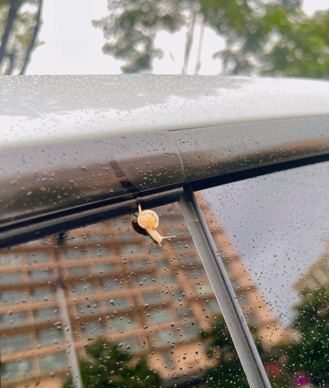 ：）女人是男人的面子，钱是男人胆，金是腰。女人是男人的面子，女人就像衣裳，她