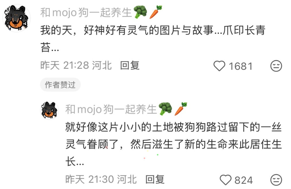 小狗来过的痕迹，被春天酿成了一捧青苔。也是对你思念的回响。