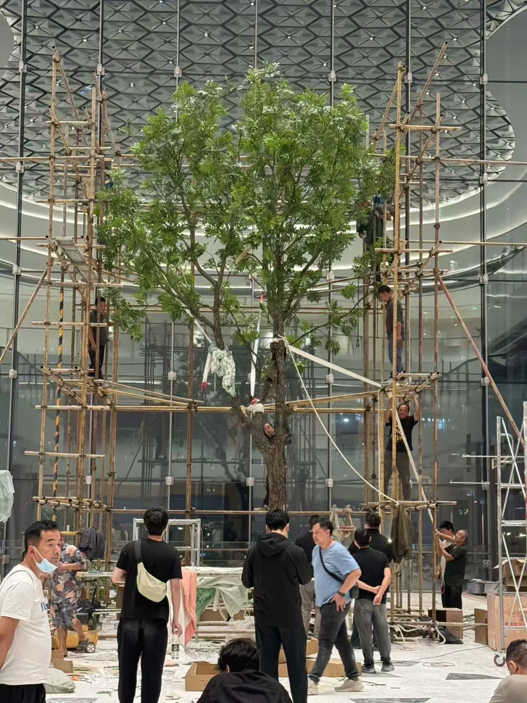 我们正在做商场里的最大的树……