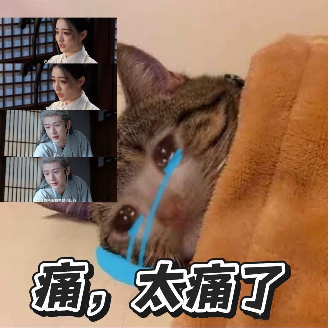 兄妹失散十五年至死没相认这个话题真的可以把小嘴巴闭起来了，白菀已经知道自己家人