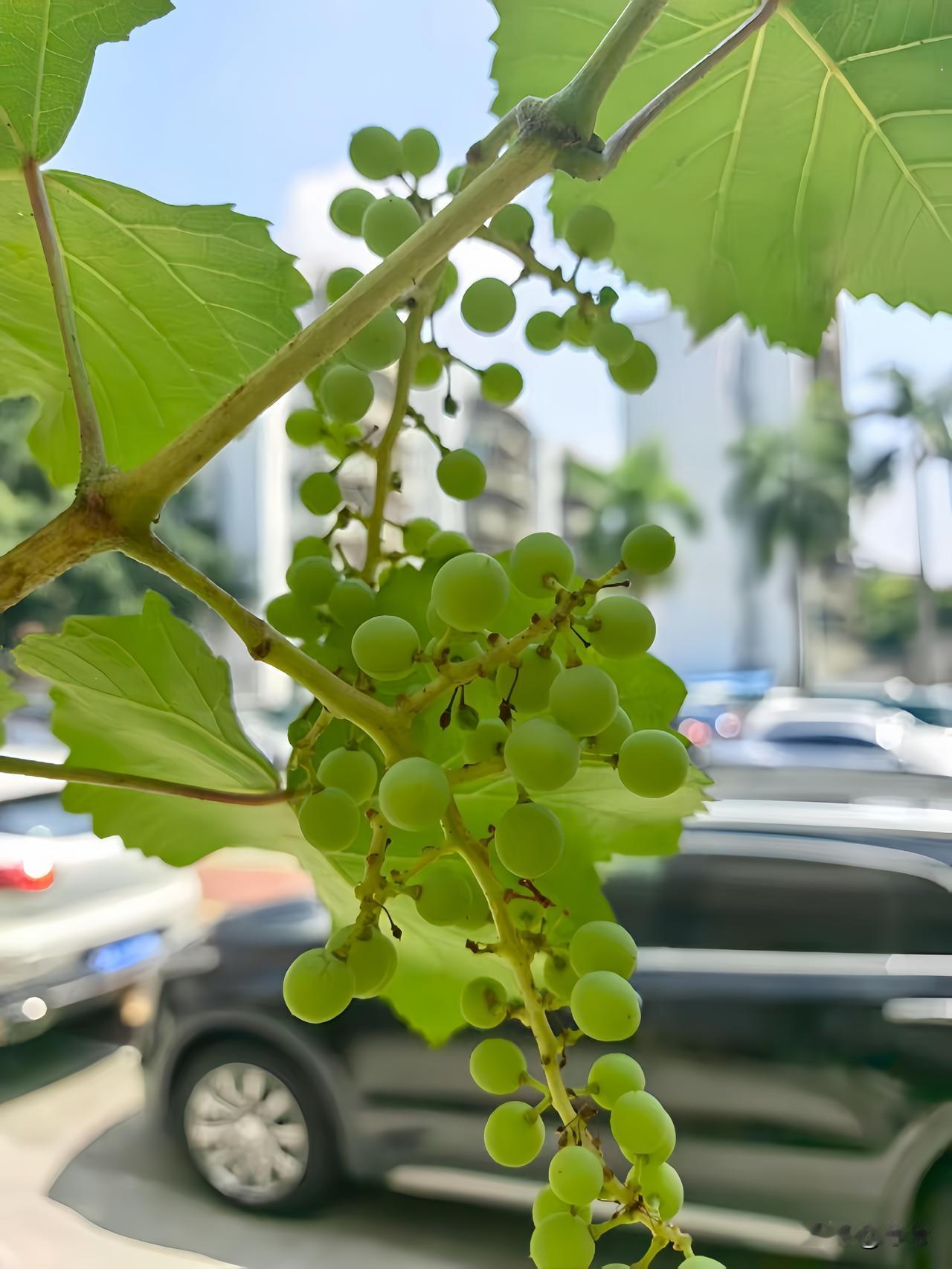 人这一辈子夫妻最顶级的关系从来不是百般挑剔，互相消耗，而是同心协力，并