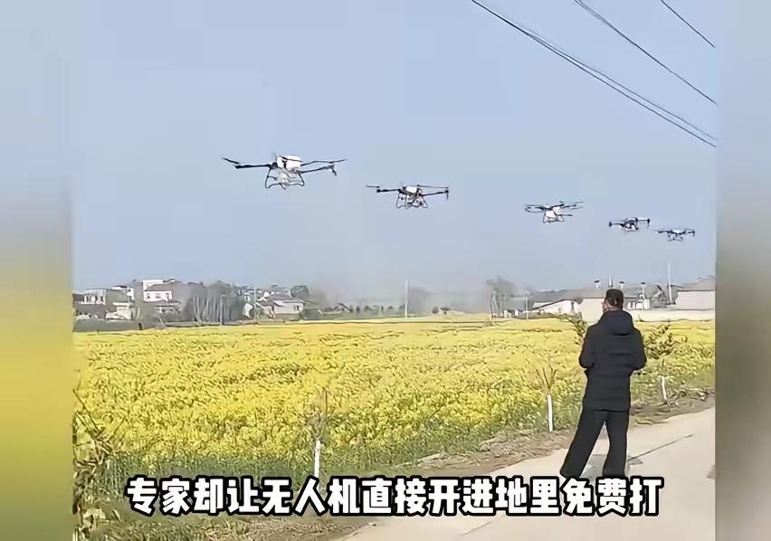 油菜花打药，农民说了不算，专家说了算？这操作真的太离谱了！自己种的油菜，明