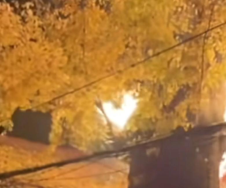 无论如何，必须让它生存下来浙江宁波，余姚市苏家院，一棵500年以上的银杏叶，在