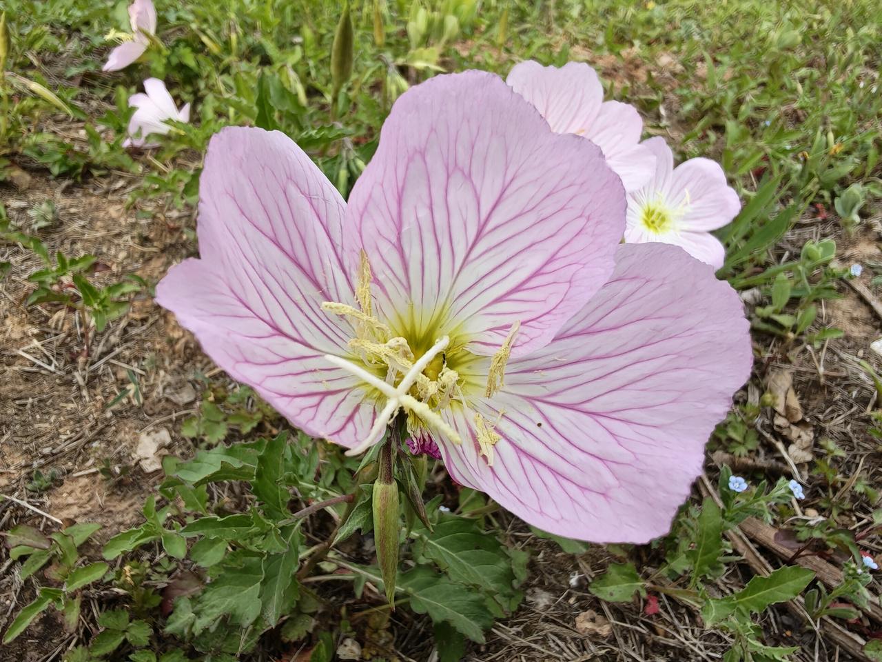 曾仕强说，孝，就是道！一个不孝亲生父母的人，当下混得再好，最后也好不到哪去；