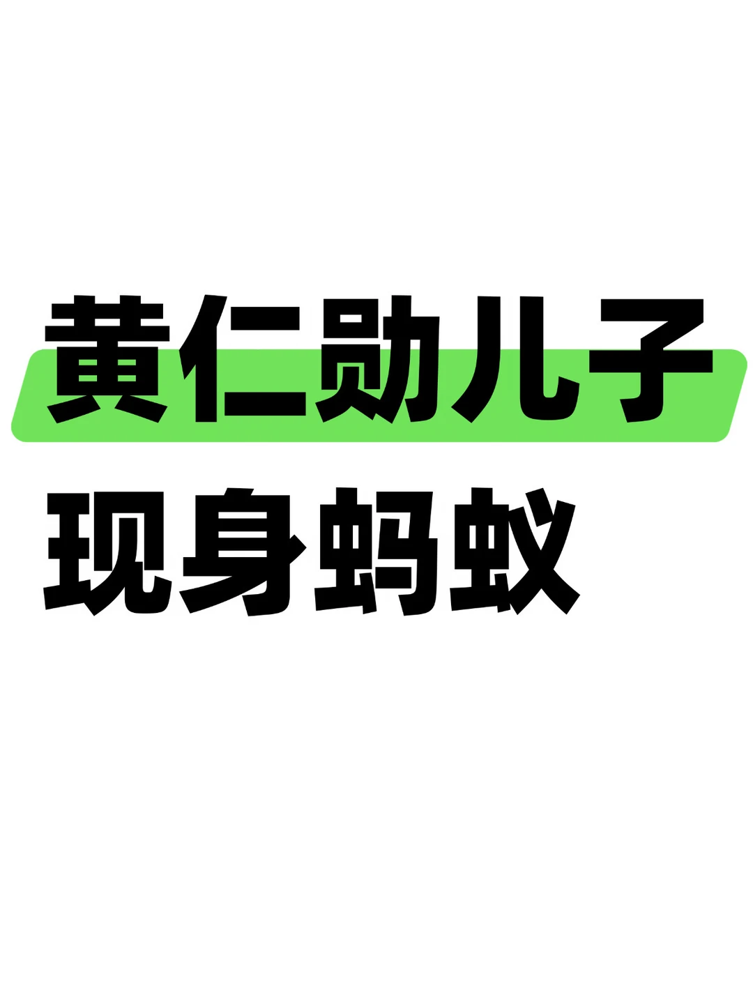 老黄儿子现身蚂蚁灵波，蚂蚁要有大动作？