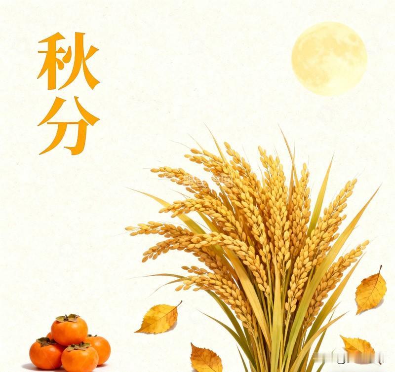 不怕秋分雨，就怕秋分晴！今日秋分，今年秋分有什么讲究？冬天冷不冷？看看农谚怎么说