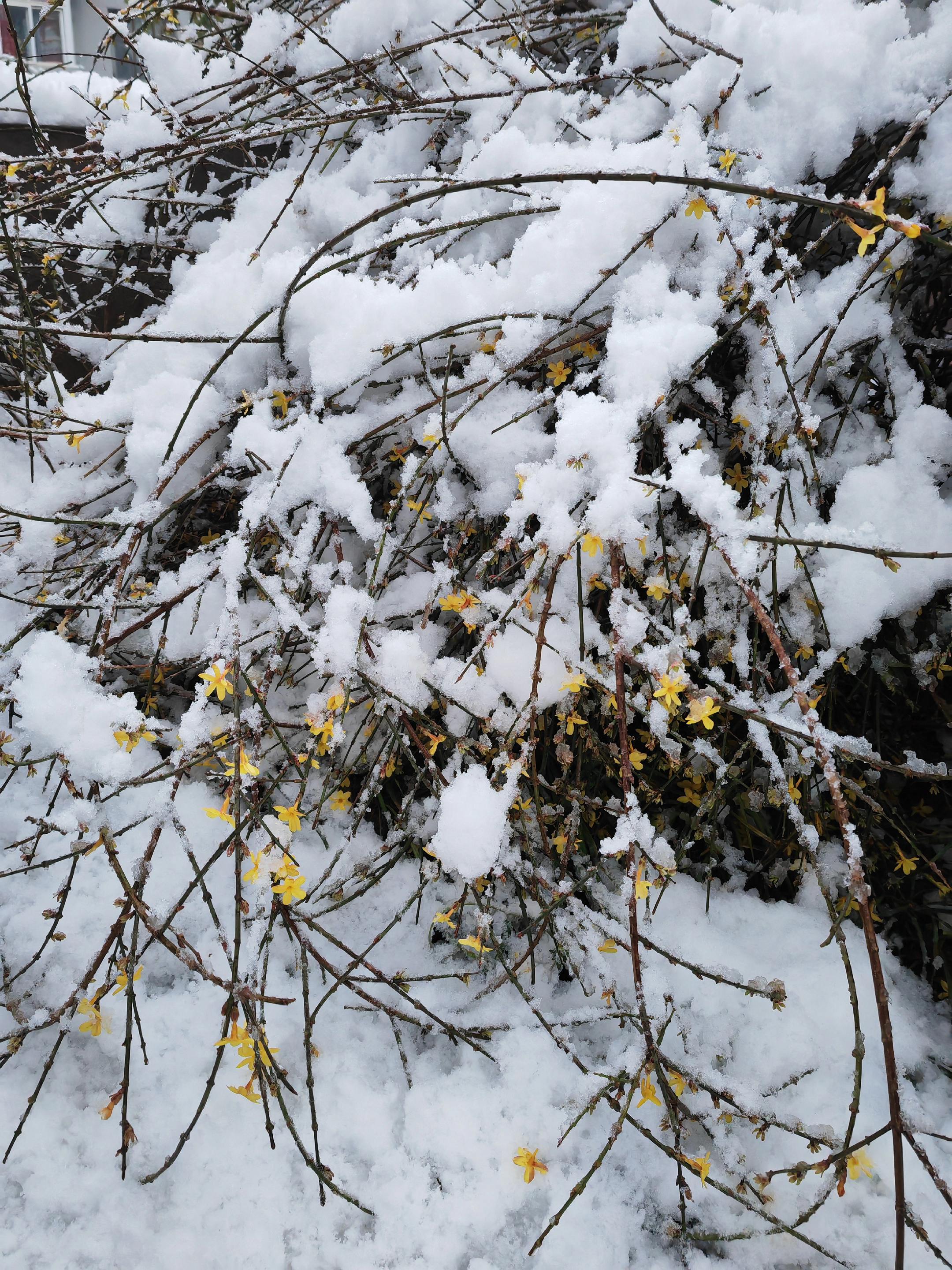 自然奇观 空中城市纪录片 我用摄影看世界 看看你们手机里的大自然