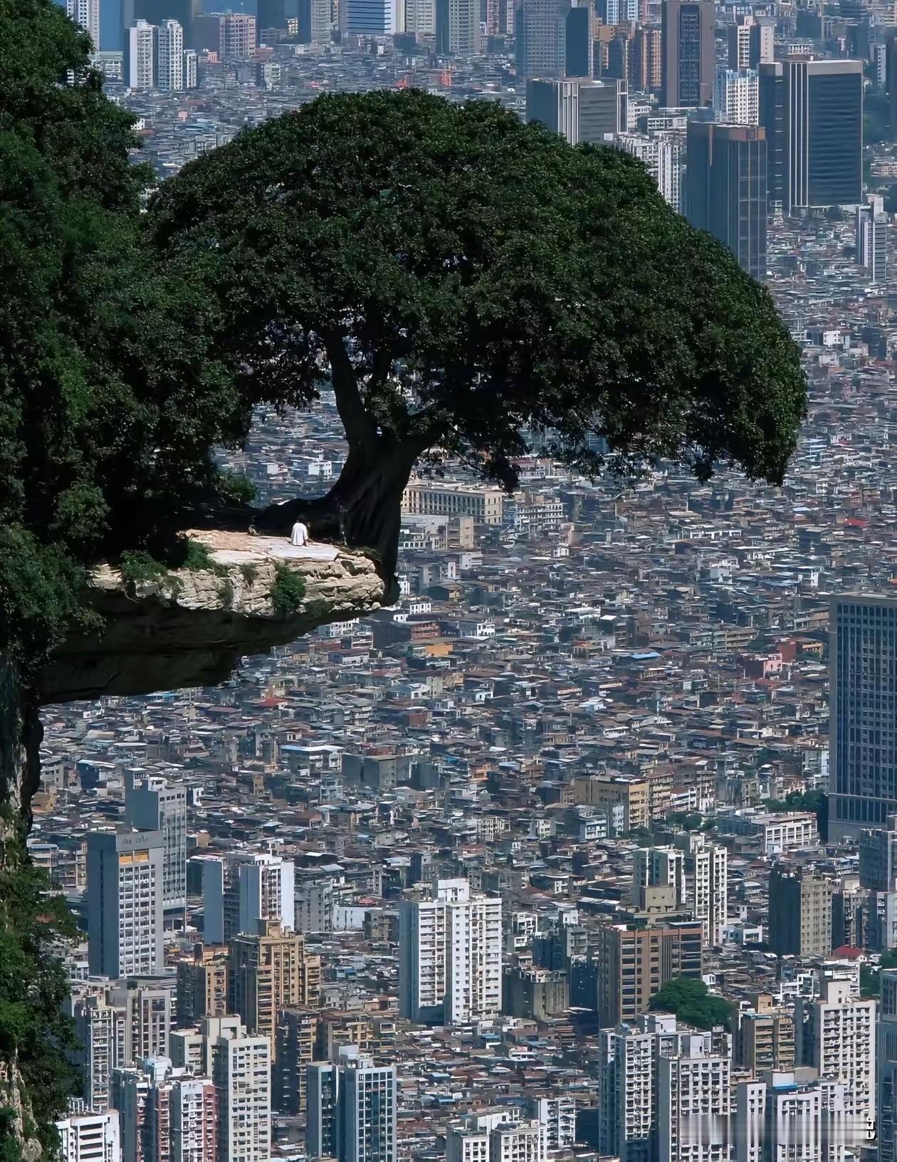 谁知道这是哪里吗，居住好密集啊