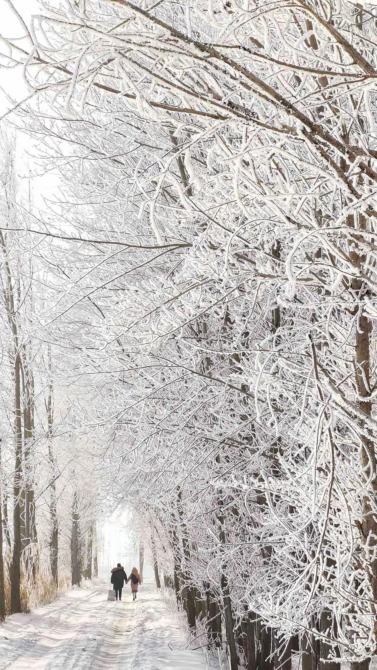 1861年11月2日夜，肃顺在密云行馆被秘密逮捕。被捕时，肃顺被捆绑住双手双脚如