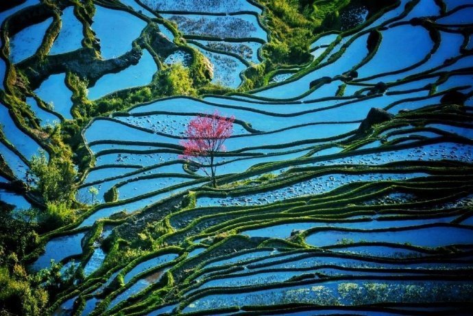 云南元阳梯田，你的一眼，是哈尼族的1300年！