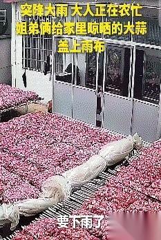 天，一下子就黑了。江苏邳州，狂风卷着土腥味灌进院子，一万斤刚收回来的大蒜，白花