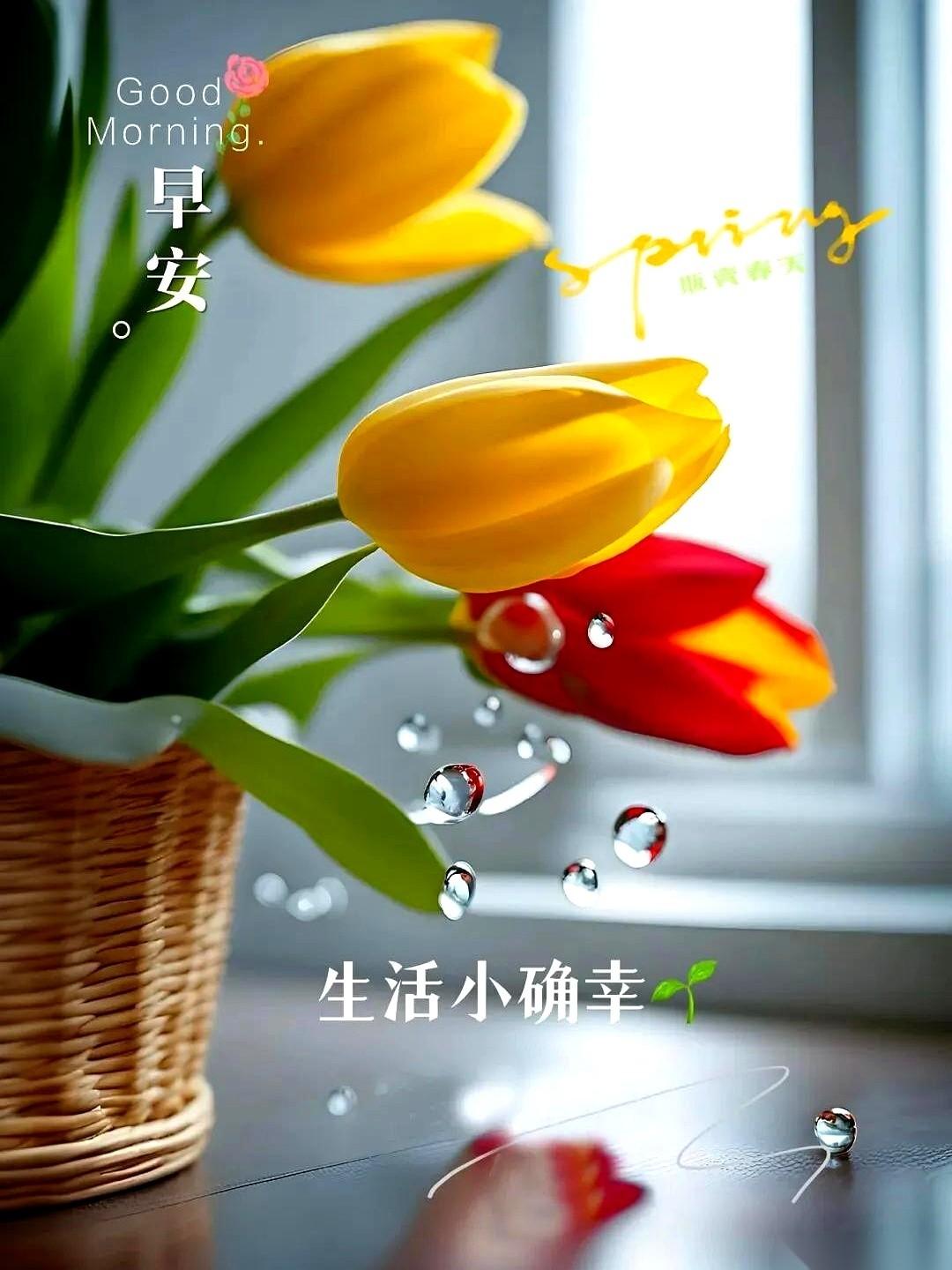 我以前总觉得，有的人就是命好。生下来就一手好牌，随便打打都是王炸。后来才发现