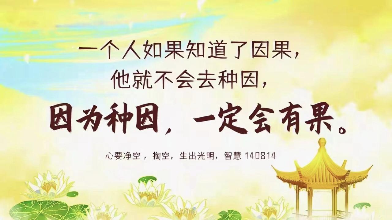 因果道：穿透千年的人生算法人生确有因果，但这并非玄虚的迷信，而是如四季更替、