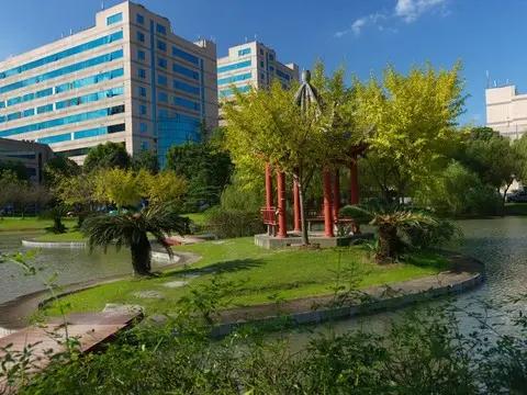 中国对外籍人员非法用工和非法就业，严厉打击2026年6月底，上海张江科学城