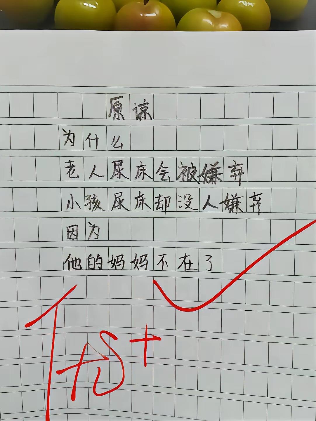 “原谅”的小作文