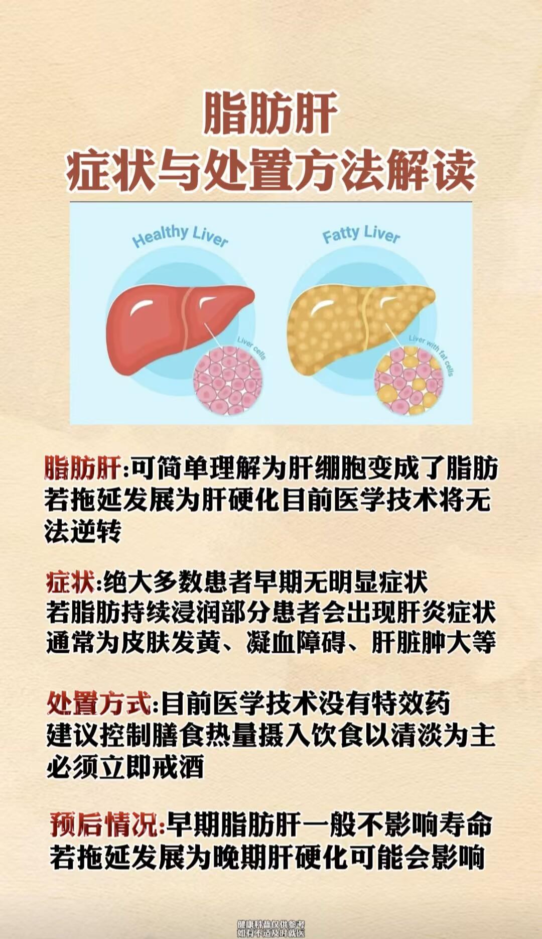 乙肝 脂肪肝 肝病