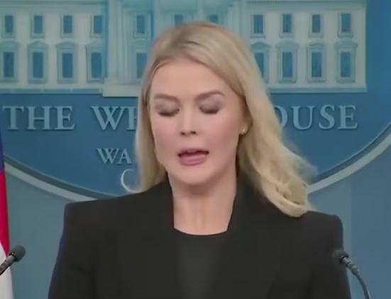 美智库逼日“打响第一枪” 730亿“保护费”换来炮灰命运？