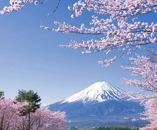 日本地震，民众提心吊胆---北海道最近老