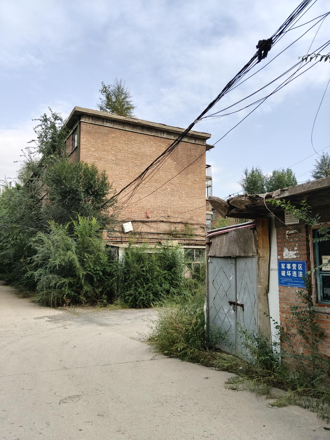 原赤峰守备区12师家属楼现在已经无人居住，院内长满了蒿草，树木快与楼同高了。