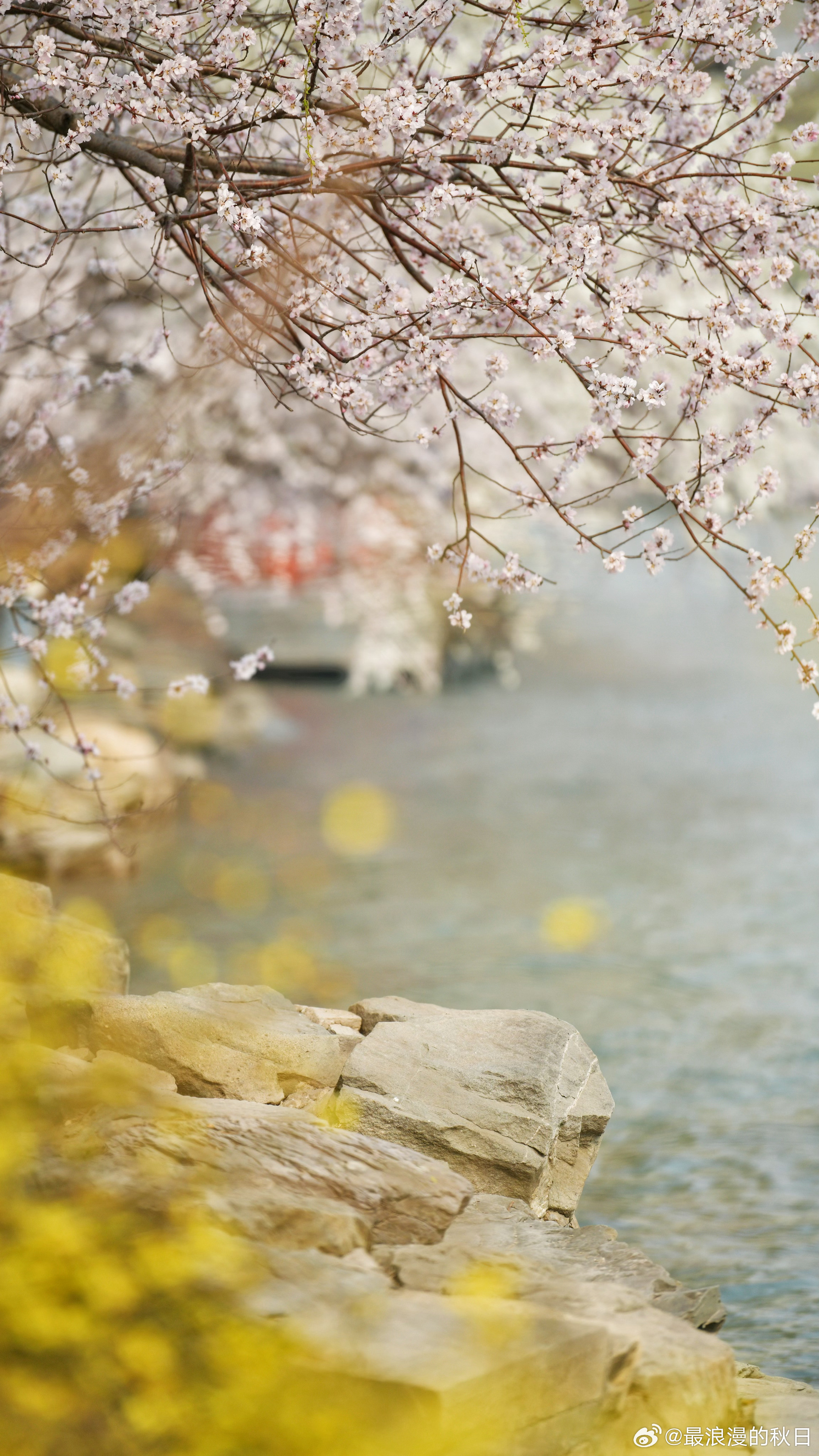 西堤春色——颐和园摄影