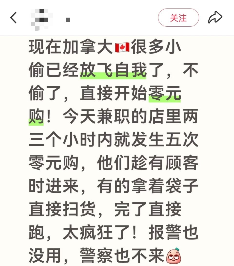 加拿大网友说，加拿大小偷已经放飞自我了