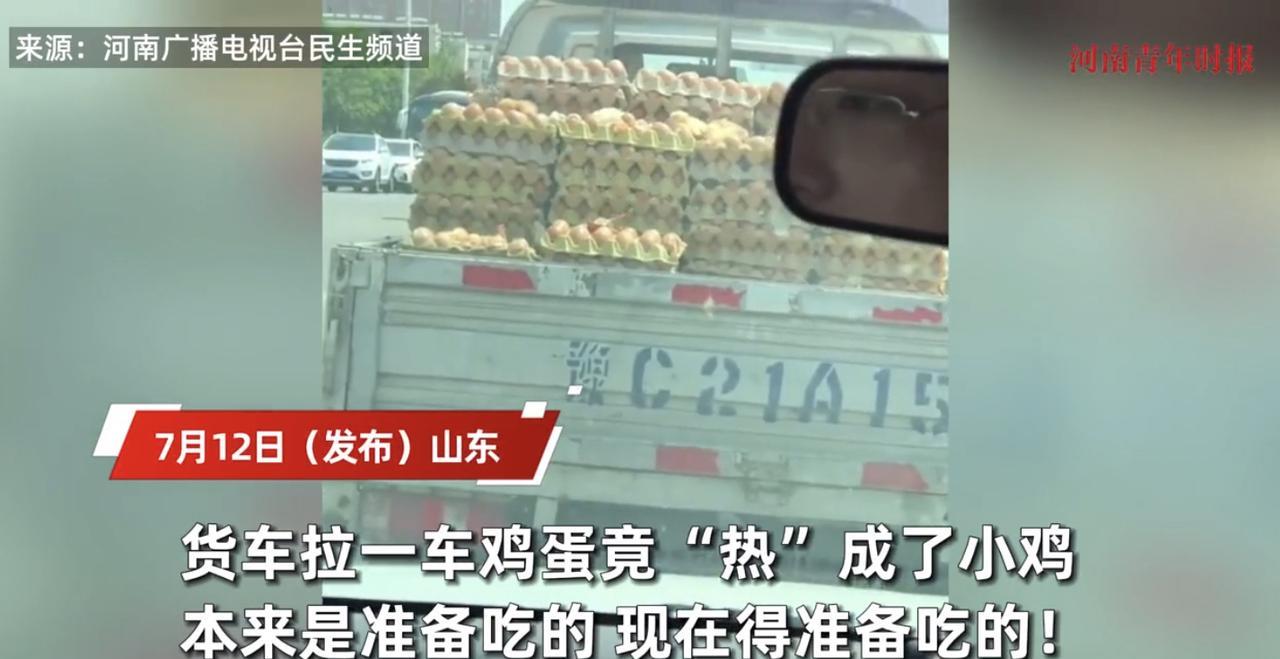 活久见！山东，男子拉了一货车的鸡蛋，谁知道由于天气炎热，小鸡们竟然直接在车上破壳