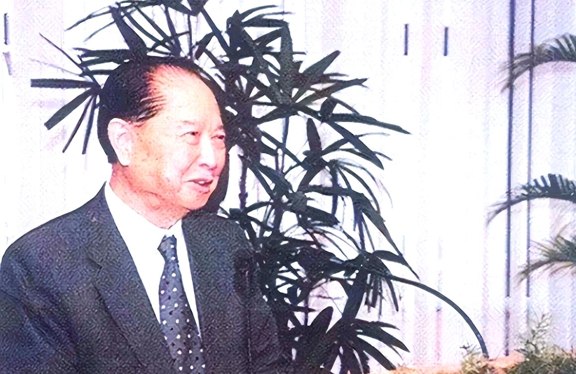 1975年，汪道涵60岁晚年得子，有了汪雨。汪雨从小含着金钥匙降生，受尽全家宠爱