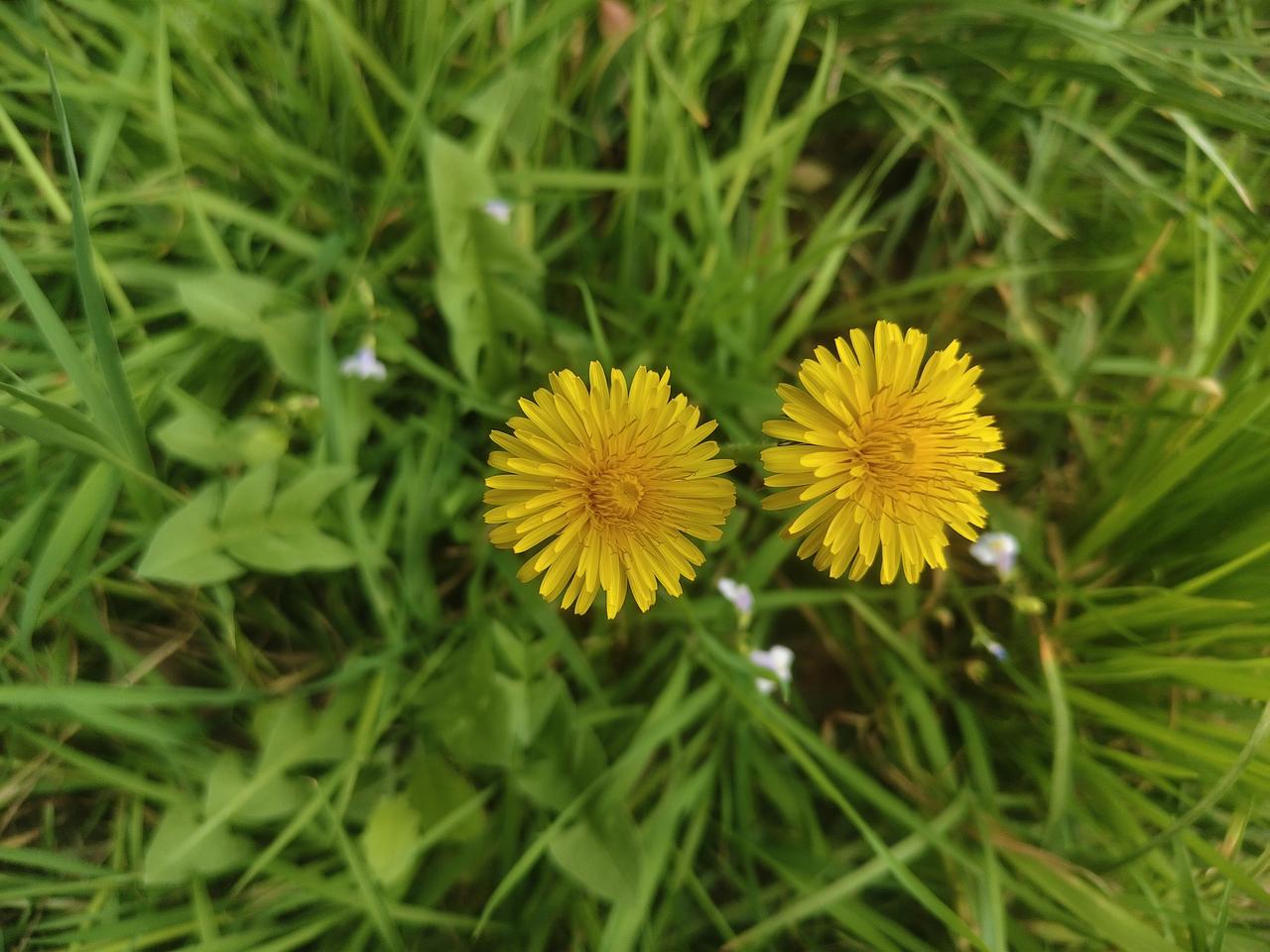 宣纸对于中国画的创作有多重要?宣纸对中国画创作那是相当重要！从类型上看，生宣