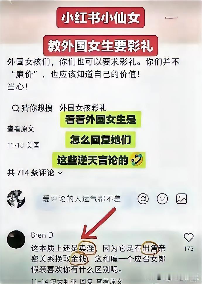 中国小仙女被外国人怼得怀疑人生一个小仙女在国内某书上发布一条笔记，呼吁来华的外