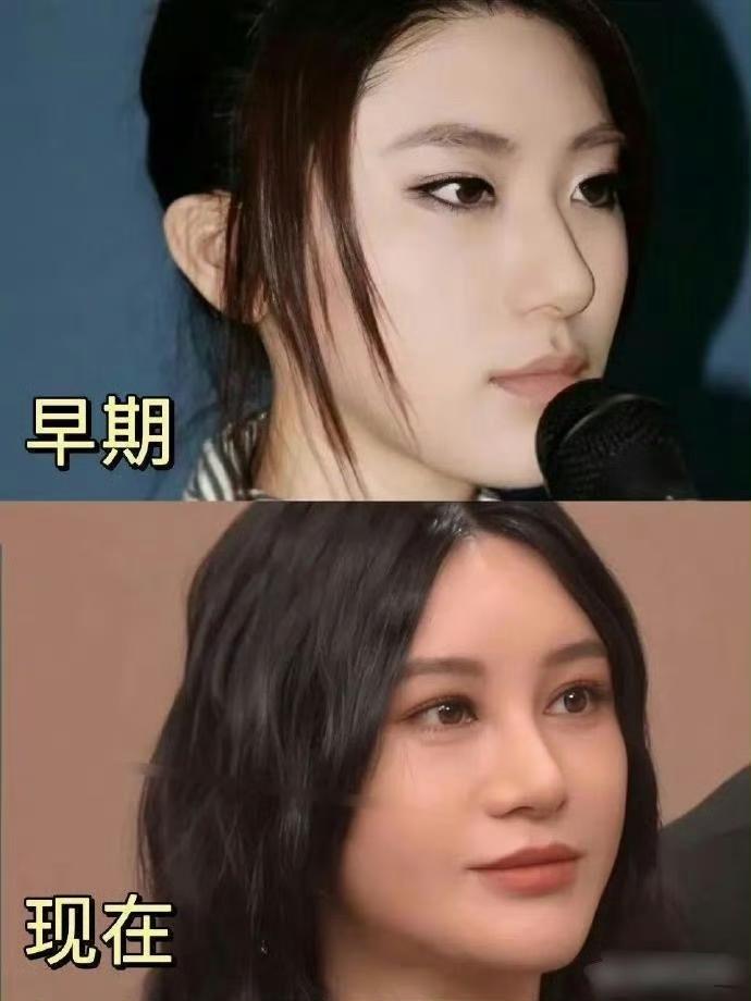 尚雯婕早期姬感这么重真的很好看，干嘛想不开去微调啊​