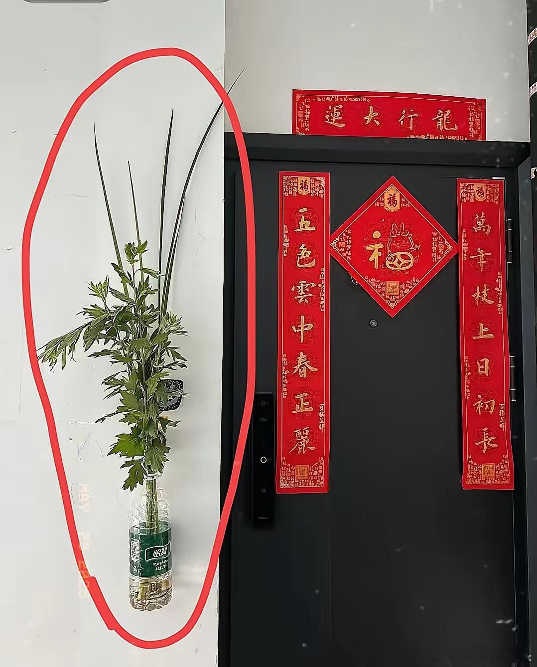 我朋友花5元买了把艾叶挂门口，朋友老公夸她脑子好用，这艾叶挂得好，可不到半小时，